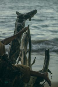 CoMover_Contact-in-Natura_22